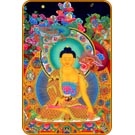 "Buddha Dragon" T-Shirt